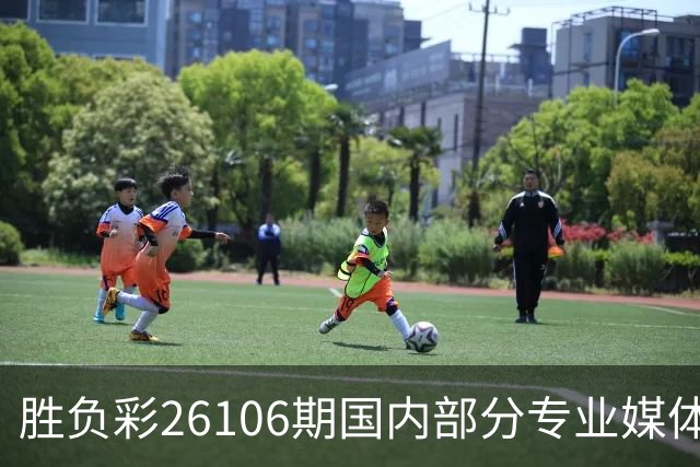胜负彩26106期国内部分专业媒体复式推荐总汇